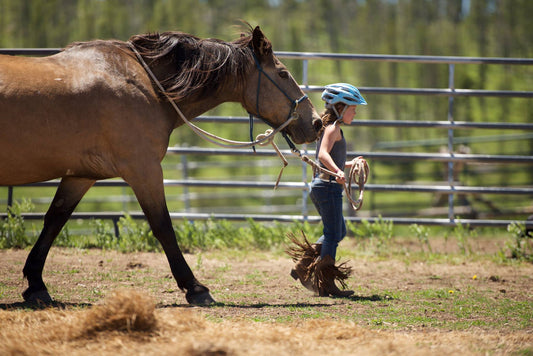 Lil Wranglers Horse Clinic Saturday 6/14